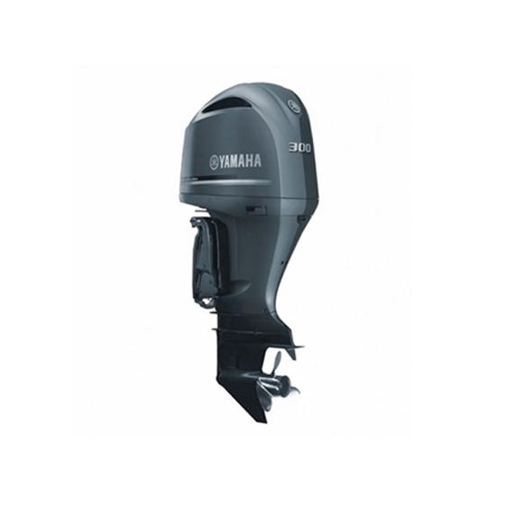 Yamaha F 300 DETX